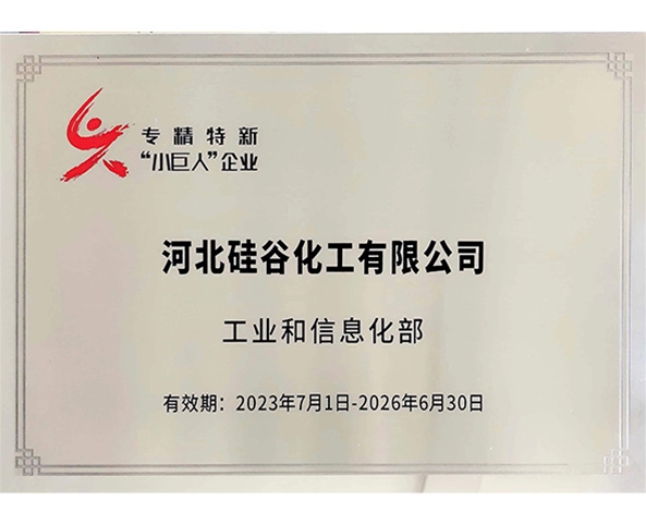 专精特新小巨人企业