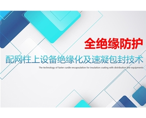 配网柱上设备全绝缘化（河北bevictor伟德）